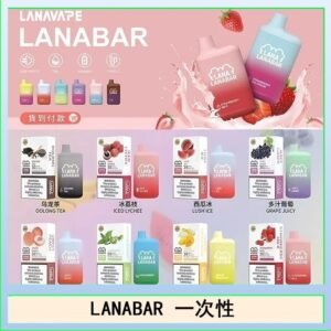 LANA BAR可充电一次性電子煙霧化5000口(3.0%)