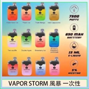 Vapor Storm風暴電子煙7500口（5%）一次性