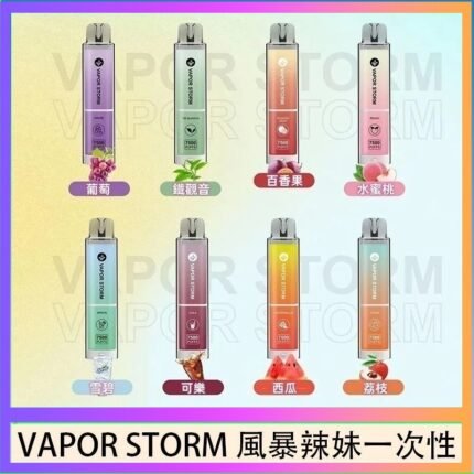 VAPOR STORM風暴辣妹一次性主機充電7500口（5%）